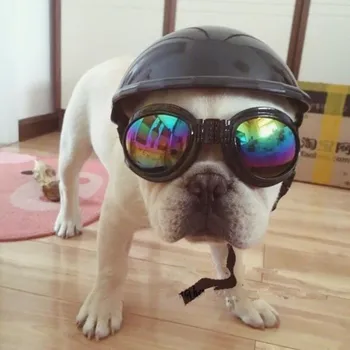 Animal de estimação de um Capacete de motociclista Hat Cap Cão Gato Traje de Acessórios para animais de Estimação motocicleta Plástico ABS brinquedo do cão Capacete boné com óculos de sol